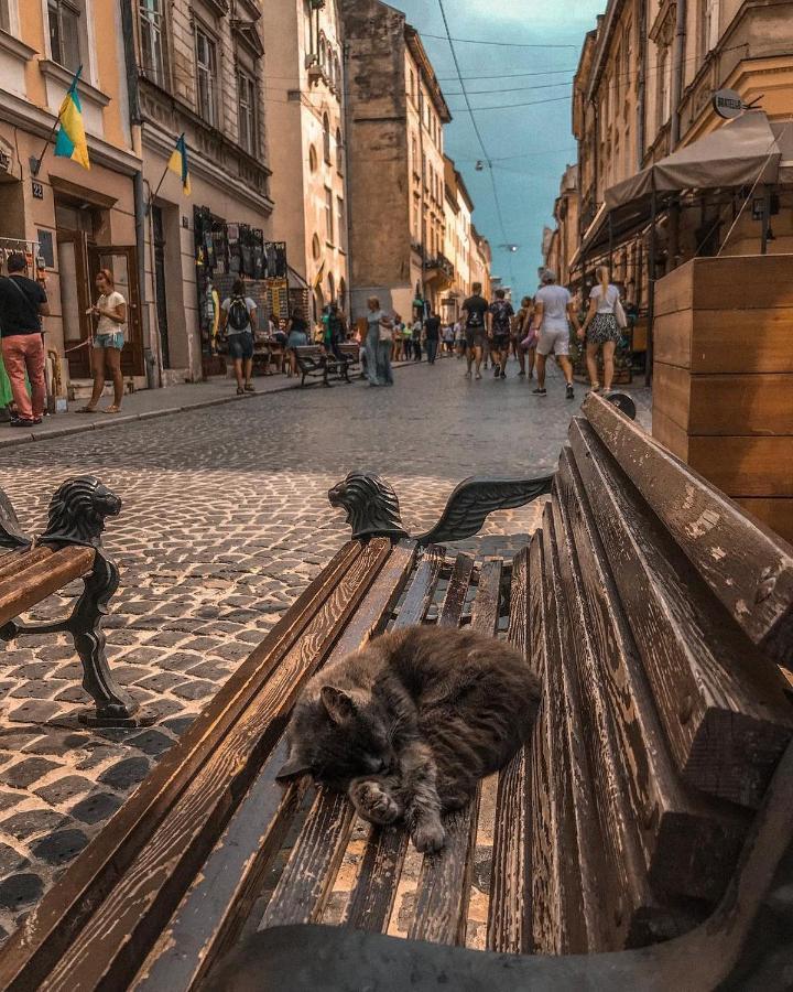 Cozy & New Furnished Flat In Old Town Of Lviv Apartment ภายนอก รูปภาพ